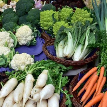 Top 20 Anti-Aging Foods That Can Help You Stay Young and Healthy