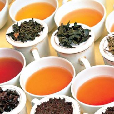 Best Healthy Teas You Should Try
