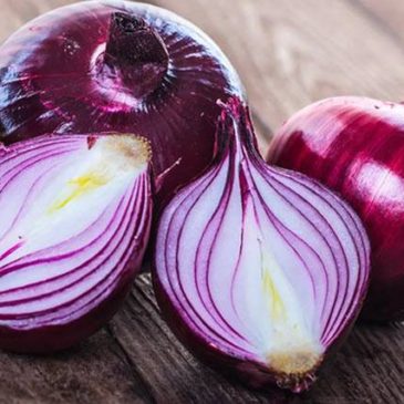 Health Benefits of Red Onions