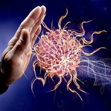 How To Maintain A Healthy Immune System