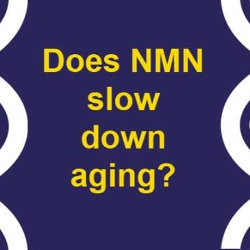 Does NMN Slow Down Aging? Unveiling the Potential of Nicotinamide Mononucleotide