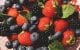 Berries blueberries and strawberries