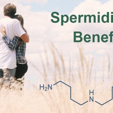 Benefits of Spermidine for Health and Longevity